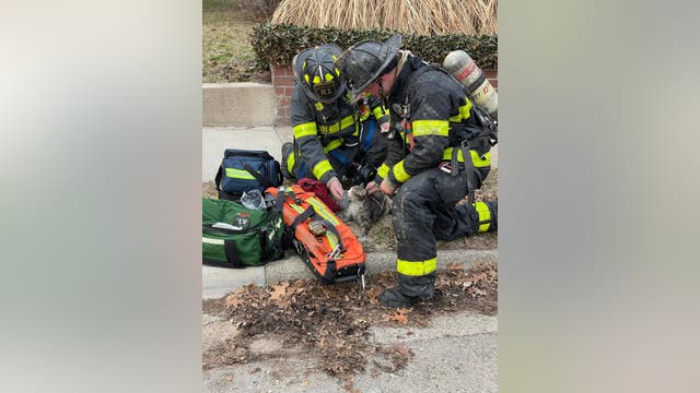 Grand Rapids firefighters revive cat after saving animal from house fire