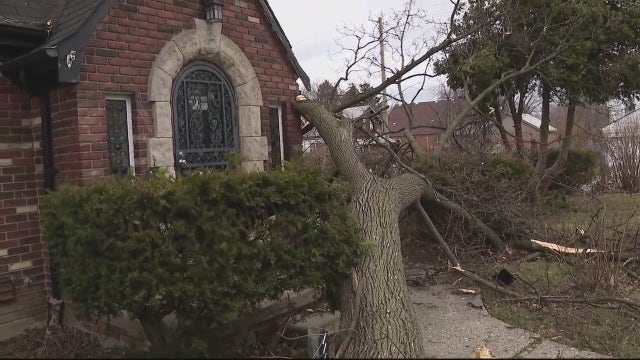 Trees on cars and houses, power outages, and more -- Heavy winds cause problems across Metro Detroit