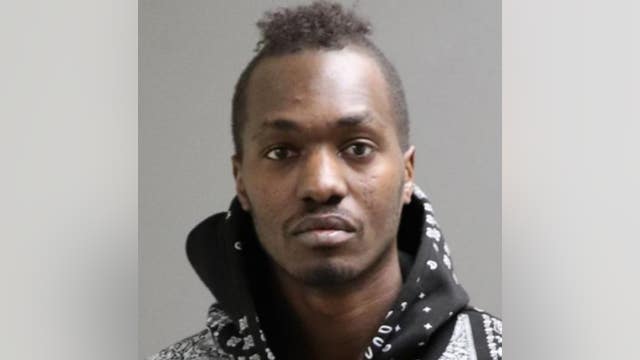 Detroit man charged with beating 3-month-old twins, animal abuse
