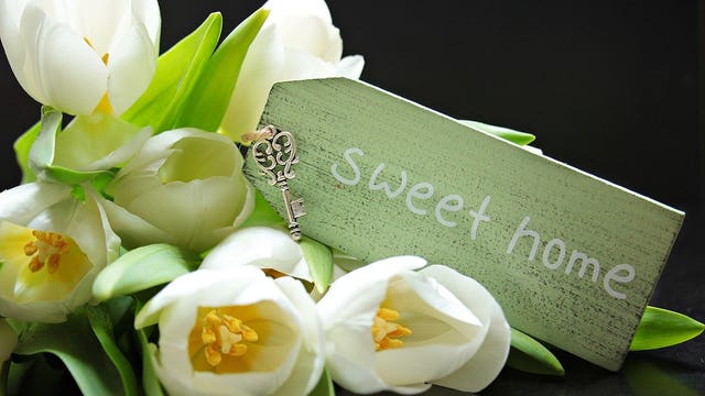 Where are the best places to live in Michigan? Niche ranks top cities