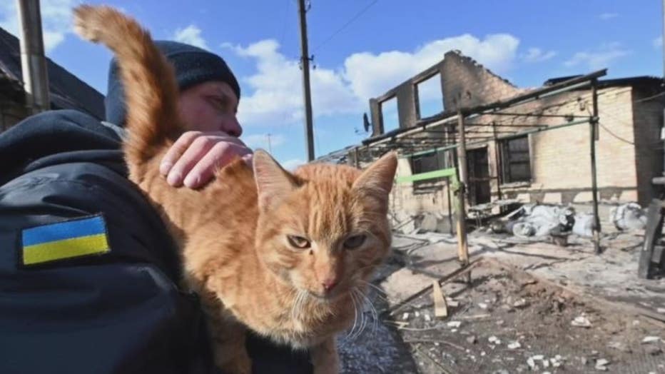 Animal rescue group works to save pets from Ukraine war zone, and reunite  them with owners