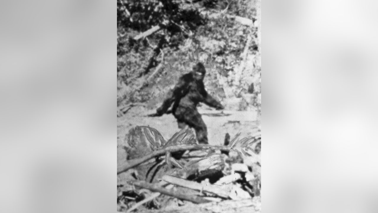 Michigan State Police searching for stolen metal sasquatch lawn ornament