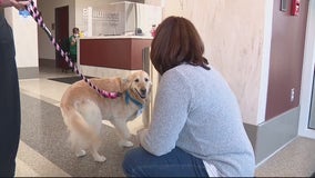 Emotional reunion for Beaumont therapy dog, mom who lost son to cancer