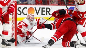 Nedeljkovic shuts out former team, Red Wings top Hurricanes