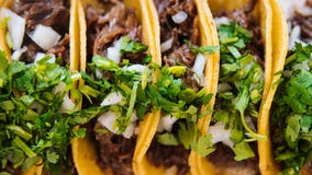 Taco Fest to bring food, tequila, and more to Royal Oak this 4th of July weekend