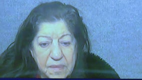 74-year-old woman accused of fleeing scene after hitting, killing Oak Park grandmother