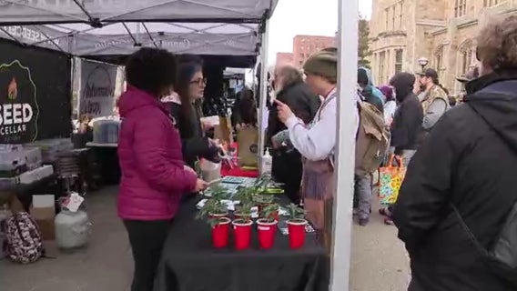 50th anniversary of Hash Bash held in Ann Arbor