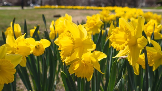 Good news: Positive stories for your weekend