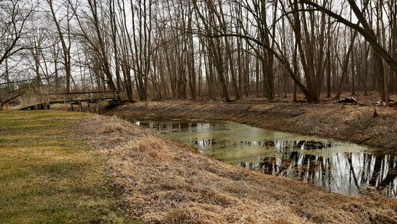 Novi residents outraged over city’s response to concerns on Garfield Lake