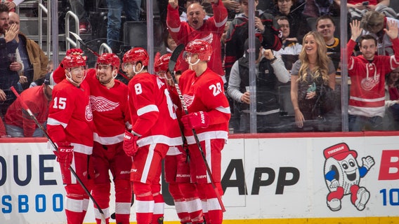 Wings end 6-game skid, Nedeljkovic has 47 saves vs. Bruins