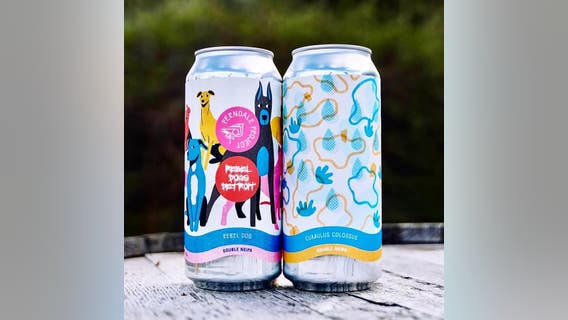 Meet adoptable dogs, drink beer, and help animals this weekend at the Ferndale Project