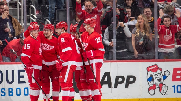 Wings end 6-game skid, Nedeljkovic has 47 saves vs. Bruins