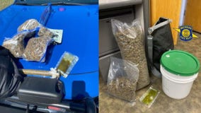 Northern Michigan man stopped for speeding says he has 2 oz of pot, MSP finds 5 pounds
