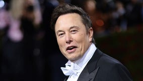 Elon Musk: Twitter deal 'temporarily on hold' pending details on spam accounts