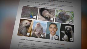 Roeper diversity director 'digusted' with worksheet comparing President Obama to monkeys