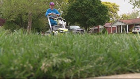 Southgate 10-year-old starts lawncare service