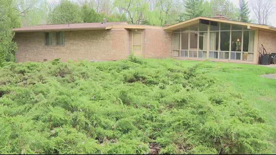 Inside the Frank Lloyd Wright inspired home on the market in Canton