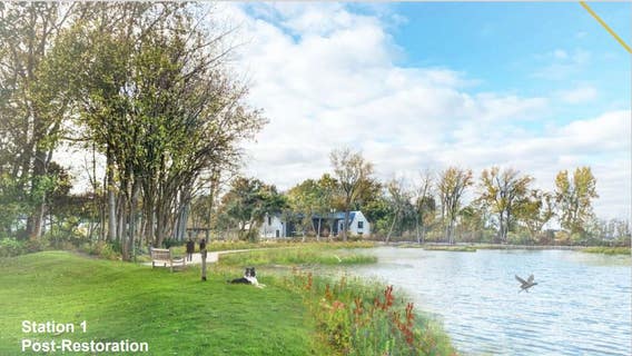 Ford Cove restoration plans target wetlands and shoreline, improve fish and plant populations