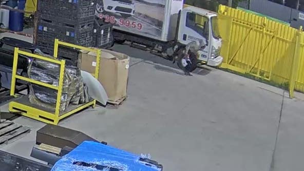 Detroit police looking for catalytic converter thief on west side