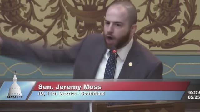 State Senate Democrats' bid for tougher gun legislation stalls despite Texas shooting