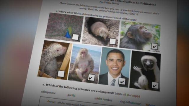 Roeper diversity director 'digusted' with worksheet comparing President Obama to monkeys