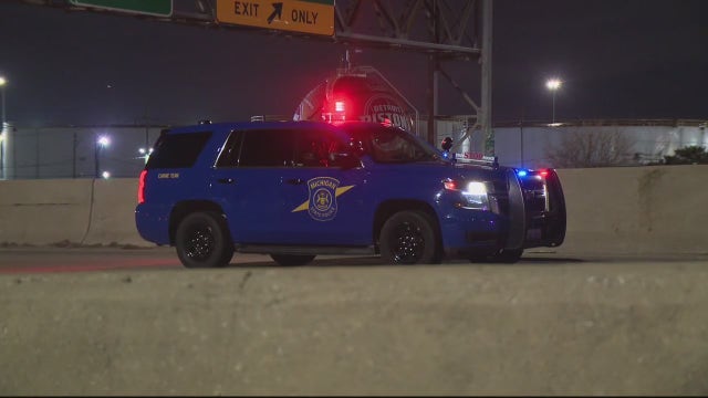 18-year-old pedestrian struck running across the Lodge Freeway