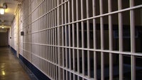 Metro Detroit man sentenced for pandemic-relief fraud scheme