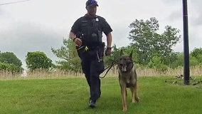 Flat Rock K9 officer helps rescue 95-year-old man who fell in woods