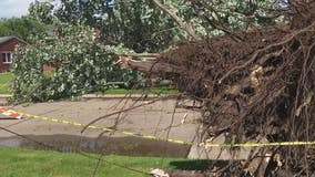 Trail of storm damage left behind by afternoon's severe weather