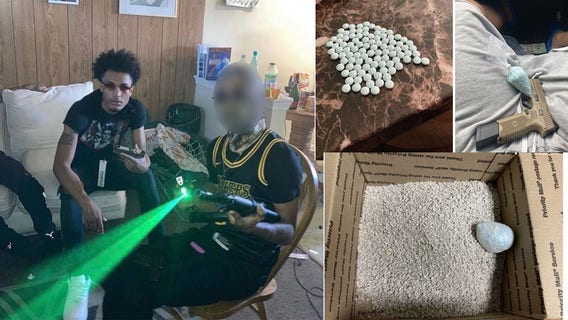 Fentanyl hidden in ‘premium cat litter’ shipped through USPS, Romulus man arrested