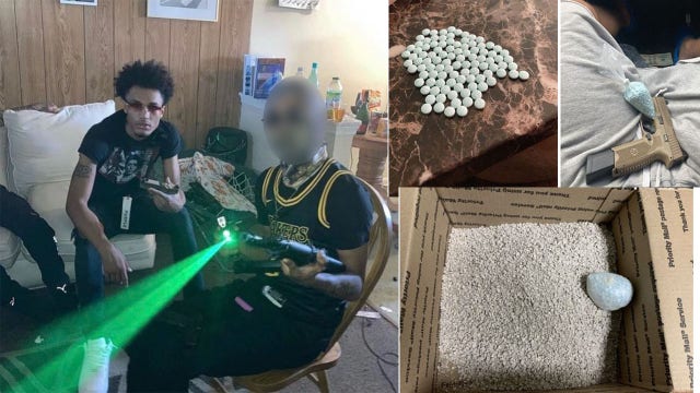 Fentanyl hidden in ‘premium cat litter’ shipped through USPS, Romulus man arrested