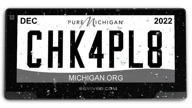 Michigan drivers can now buy digital license plates for their cars