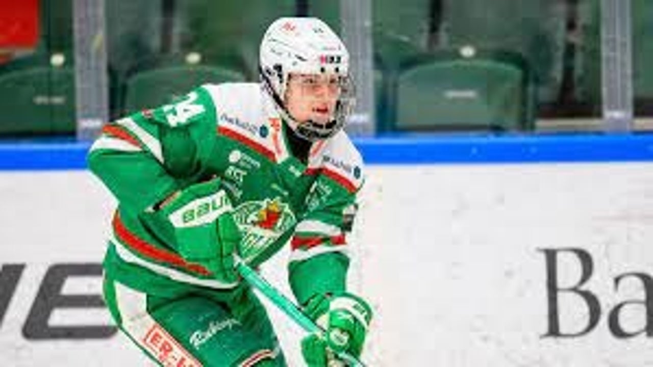 Detroit Red Wings Pick Marco Kasper In 2022 NHL Draft