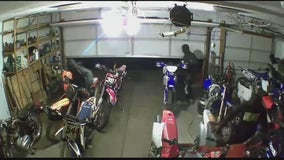 Video shows thieves calmly push 16 racing motorbikes worth $100K out of Bloomfield Twp garage