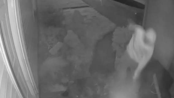 Waterford burglar steals cash, booze, recyclables amid 5-hour visit