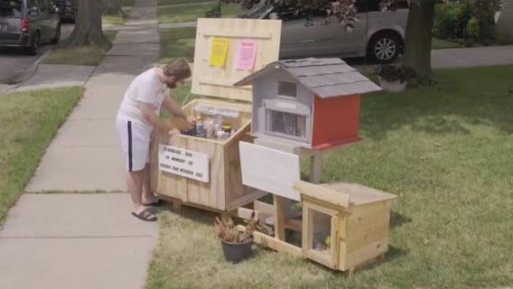 Special needs teen's free library grows into food pantry for community