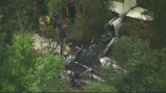 3 in critical condition, missing dog found after plane crash in Macomb County