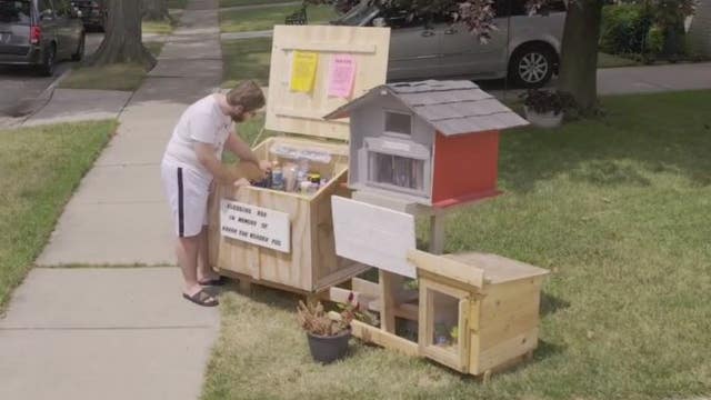 Special needs teen's free library grows into food pantry for community
