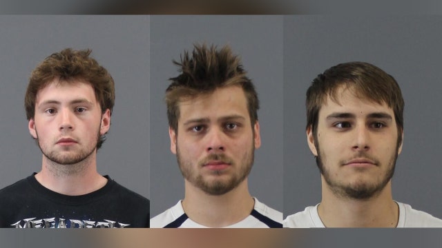 Three men charged with arson in Northville's Legacy Park