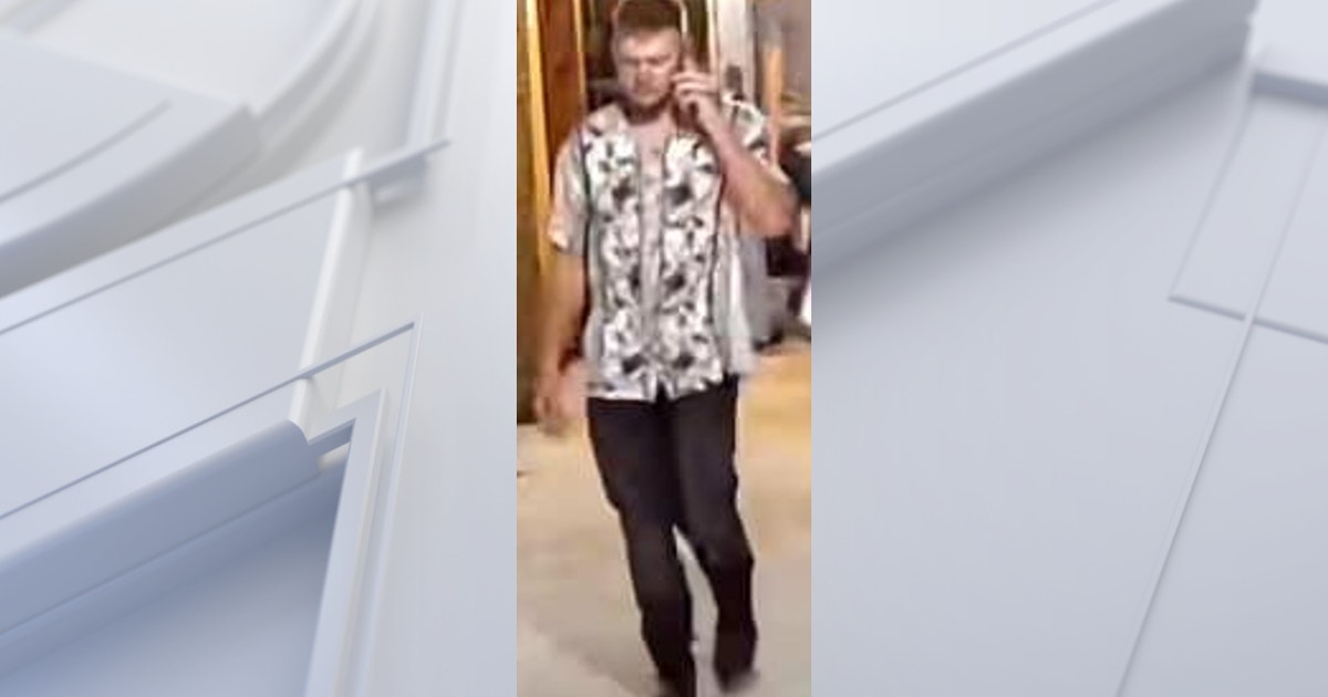 Person of interest sought after assault at Wyandotte bar | FOX 2 Detroit