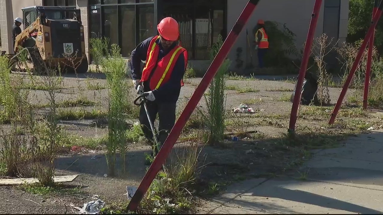 'Blight to Beauty': Crews clean up blighted properties owners refuse to ...