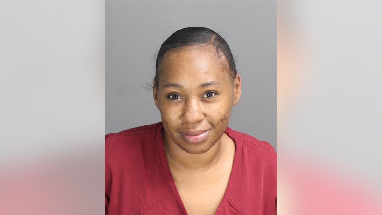 Pontiac woman's stabbing spree at party sends 4 to hospital, police say - Vimarsana News