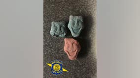 Police issue warning after ecstasy shaped like candy found during traffic stop