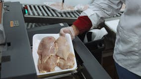 USDA proposes new rules on salmonella for food processors — or risk shutdowns