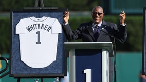 Tigers beat McClanahan, Rays 9-1 on Lou Whitaker Night