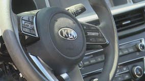 Car thieves targeting Kia, Hyundai vehicles in Harper Woods
