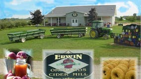 Blake's South Lyon cider mill plans to continue Erwin traditions with new additions