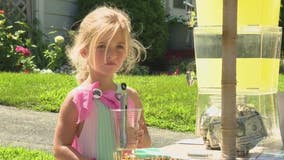 Rochester 5-year-old's lemonade stand raises $400 for food pantry
