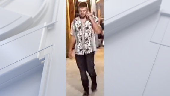 Person of interest sought after assault at Wyandotte bar