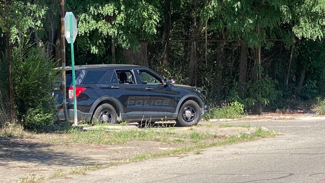 2-year-old girl, man hurt in Southwest Detroit drive-by shooting